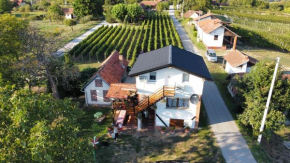 Apartman - Vinska Cesta